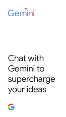 Screenshot of the application Gemini - #1