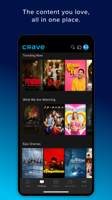 Screenshot of the application Crave - #4