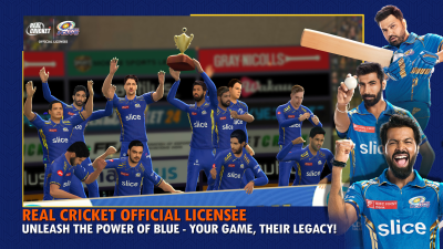 Screenshot of the application Real Cricket 24 - #3