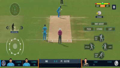 Screenshot of the application Real Cricket 24 - #8