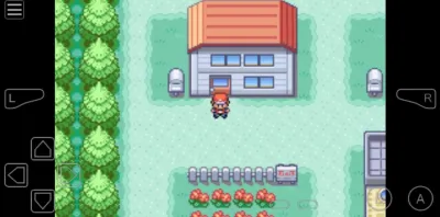 Screenshot of the application Pokemon Fire Red - #3