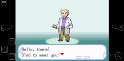 Screenshot of the application Pokemon Fire Red - #7