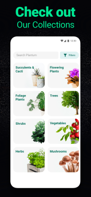 Screenshot of the application Plantum - #6