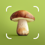 Download Mushroom ID