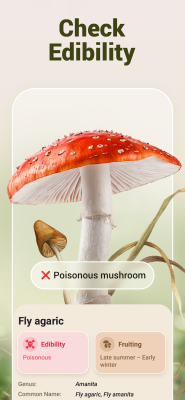 Screenshot of the application Mushroom ID - #3