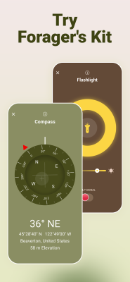 Screenshot of the application Mushroom ID - #5