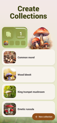 Screenshot of the application Mushroom ID - #6