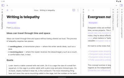 Screenshot of the application Obsidian - #8