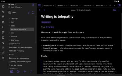 Screenshot of the application Obsidian - #9