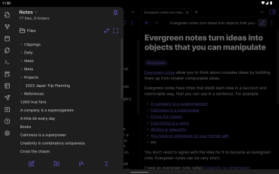 Screenshot of the application Obsidian - #11