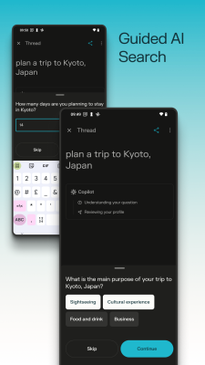 Screenshot of the application Perplexity - #4