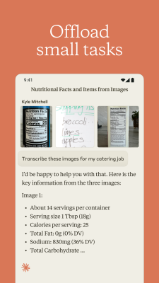 Screenshot of the application Claude by Anthropic - #8