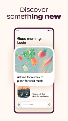 Screenshot of the application Microsoft Copilot - #7