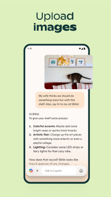 Screenshot of the application Microsoft Copilot - #8
