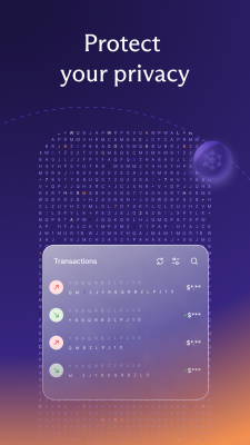 Screenshot of the application Proton Wallet - #3