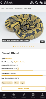 Screenshot of the application MorphMarket - #8