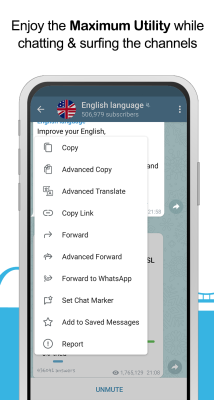 Screenshot of the application Vidogram Lite - #4