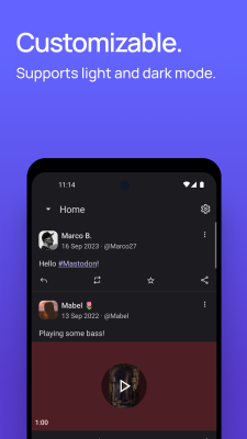 Screenshot of the application Mastodon - #7