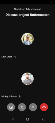 Screenshot of the application Nextcloud Talk - #3
