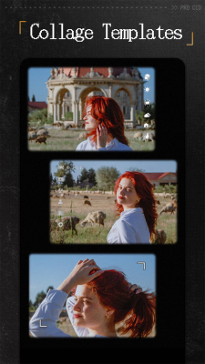 Screenshot of the application ProCCD - #6