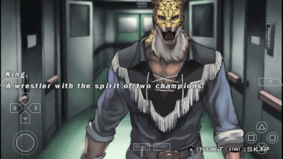 Screenshot of the application Tekken 5 - #3