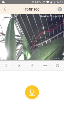 Screenshot of the application LiveYes - #4