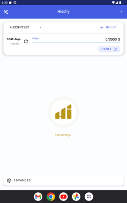 Screenshot of the application HiddifyNG - #6