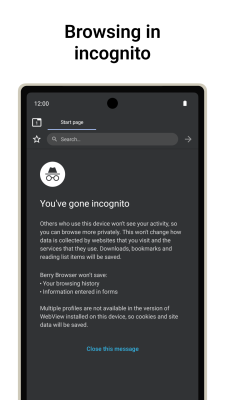 Screenshot of the application Berry Browser - #6