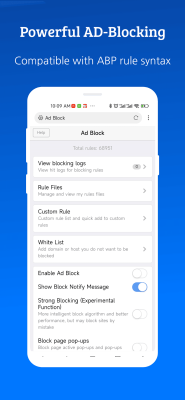 Screenshot of the application XBrowser - #3