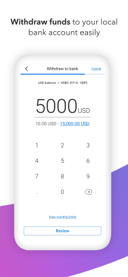 Screenshot of the application Payoneer - #4