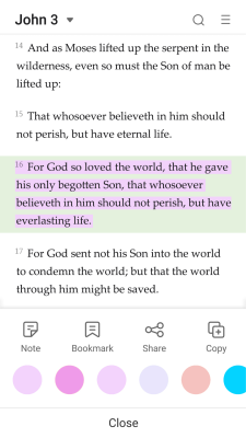 Screenshot of the application King James Bible - Verse+Audio - #3