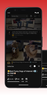 Screenshot of the application Dislikes Tube - #4