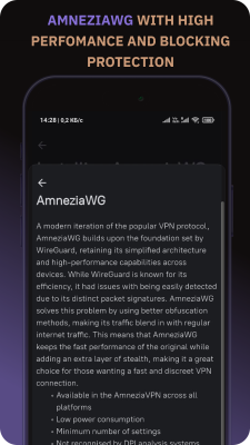 Screenshot of the application Amnezia VPN - #4