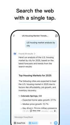 Screenshot of the application DeepSeek - #3