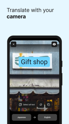 Screenshot of the application DeepL - #3