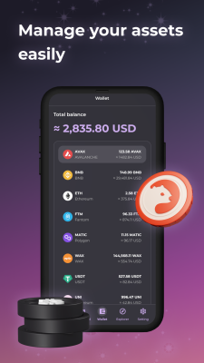 Screenshot of the application Wombat - #5