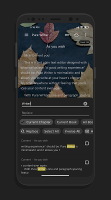 Screenshot of the application Pure Writer - #5