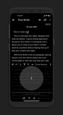 Screenshot of the application Pure Writer - #7