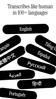 Screenshot of the application Voicenotes - #5