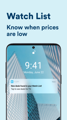Screenshot of the application Flipp - #7