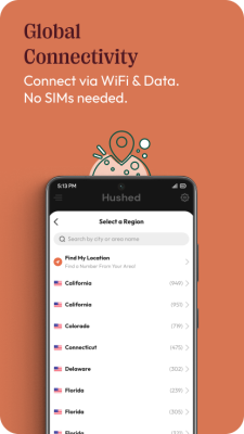 Screenshot of the application Hushed - #3
