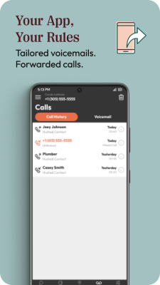 Screenshot of the application Hushed - #8