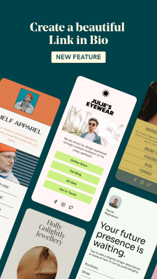 Screenshot of the application GoDaddy Studio - #8