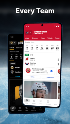 Screenshot of the application NHL - #4