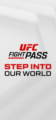 Screenshot of the application UFC - #7