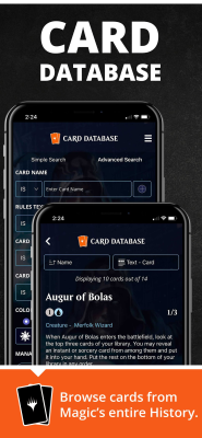 Screenshot of the application Magic: The Gathering Companion - #6