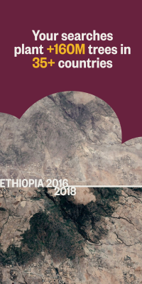 Screenshot of the application Ecosia - #3