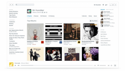 Screenshot of the application Rdio - #1