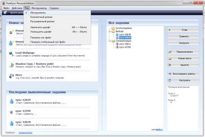 Screenshot of the application PureSync - #6