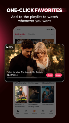 Screenshot of the application FlexTV - #5